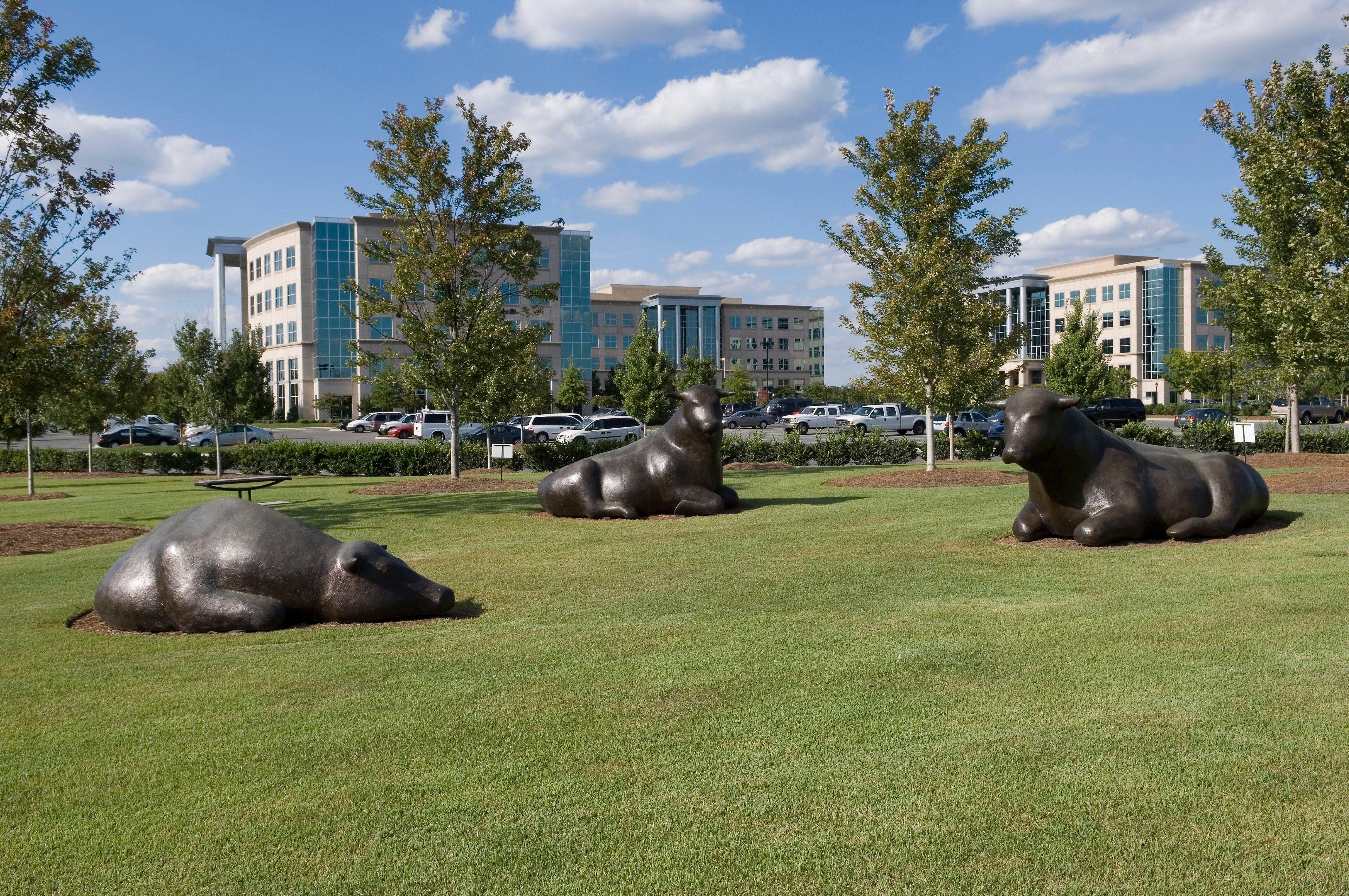 Staybridge Suites - Charlotte Ballantyne By Ihg Екстер'єр фото